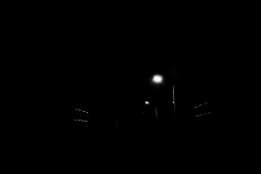DSC9097