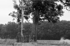 Krzyz-Krulowka-29024