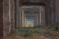 A-mirror-and-yet-not-a-mirror