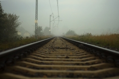 SONY DSC