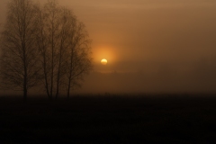Slonce-tereny-zalewowe