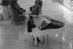 Pianista-2-1-z-1